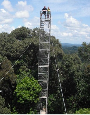 investir em uma área de planejamento e controladoria