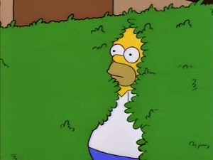 O que é Hedge
