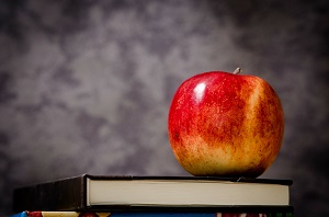 O que aprender nas principais instituições de ensino de Gestão Empresarial no Brasil?