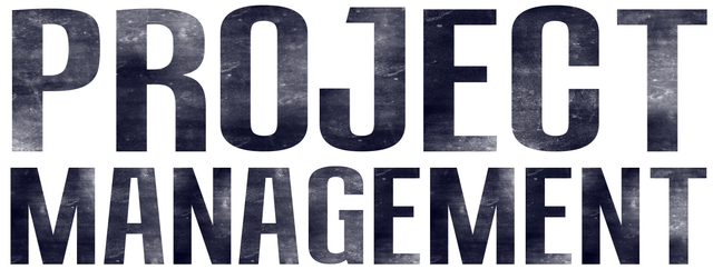 Project Management