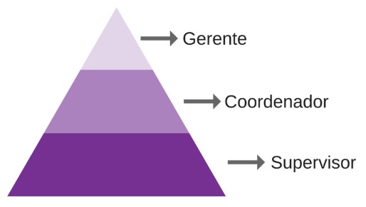 Diferença entre coordenador e supervisor